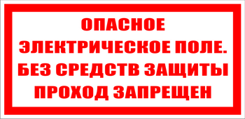 S13 Опасное электрическое поле. без средств защиты проход запрещен - Знаки безопасности - Знаки по электробезопасности - Магазин охраны труда ИЗО Стиль