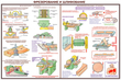 ПС09 Безопасность труда при деревообработке (ламинированная бумага, А2, 5 листов) - Плакаты - Безопасность труда - Магазин охраны труда ИЗО Стиль